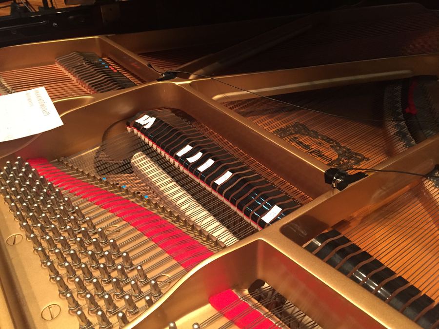 Inside a grand piano, hammers and strings